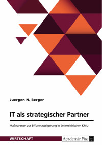 IT als strategischer Partner. Maßnahmen zur Effizienzsteigerung in österreichischen KMU - Juergen N. Berger - E-Book