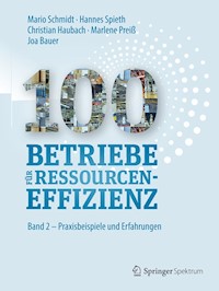 100 Betriebe für Ressourceneffizienz - Mario Schmidt - E-Book