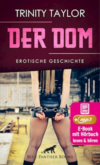 Der Dom | Erotik Audio Story | Erotisches Hörbuch - Trinity Taylor - E-Book
