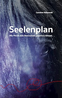 Seelenplan - Caroline Raimondi - E-Book
