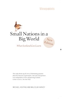 Small Nations in a Big World - Michael Keating - E-Book