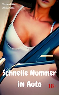 Schnelle Nummer im Auto - Bernadette Binkowski - E-Book