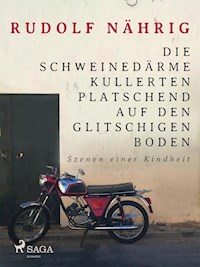 Die Schweinedärme kullerten platschend auf den glitschigen Boden - Rudolf Nährig - E-Book