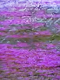 der eiskalte Tod - jana alegra martines - E-Book