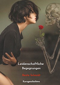 Leidenschaftliche Begegnungen - Beate Schmidt - E-Book