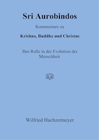 Sri Aurobindos Kommentare zu Krishna, Buddha und Christus - Wilfried Huchzermeyer - E-Book