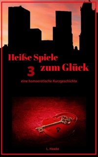 Heiße Spiele zum Glück 3 - L. Hawke - E-Book
