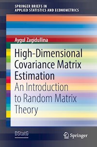 High-Dimensional Covariance Matrix Estimation - Aygul Zagidullina - E-Book