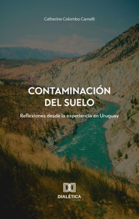 Contaminación del suelo - Catherine Colombo Carnelli - E-Book