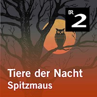 Tiere der Nacht: Spitzmaus - Silke Wolfrum - Hörbuch