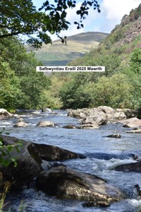 Другие просмотры 2025 Март - Eduard Wagner - E-Book