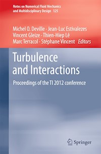 Turbulence and Interactions -  - E-Book