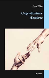 Ungewöhnliche Abstürze - Petra Weise - E-Book