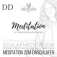 Meditation Auf einem orientalischen Markt - Meditation DD - Meditation zum Einschlafen - Christiane M. Heyn - Hörbuch
