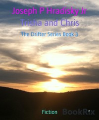 Trisha and Chris - Joseph P Hradisky Jr - E-Book