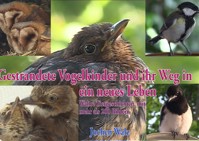 Gestrandete Vogelkinder und ihr Weg in ein neues Leben - Jochen Walz - E-Book