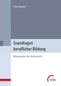 Grundlagen beruflicher Bildung - Felix Rauner - E-Book
