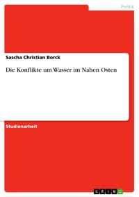 Die Konflikte um Wasser im Nahen Osten - Sascha Christian  Borck - E-Book