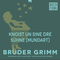 Knoist un sine dre Sühne (Mundart) - Brüder Grimm - Hörbuch