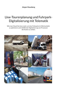 Lkw-Tourenplanung und Fuhrpark-Digitalisierung mit Telematik - Jürgen Stausberg - E-Book