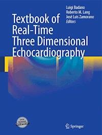 Textbook of Real-Time Three Dimensional Echocardiography -  - E-Book