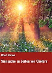 Sinnsuche zu Zeiten von Cholera - Albert Morava - E-Book