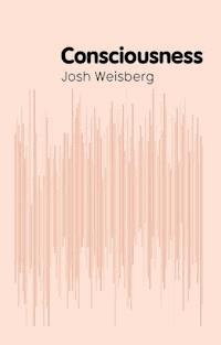 Consciousness - Josh Weisberg - E-Book