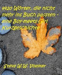 4420 Wörter, die nicht mehr ins Buch passten - eine Boy-meets-Girl Kurzgeschichte - Steve W.W. Voelker - E-Book