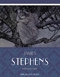Irish Fairy Tales - James Stephens - E-Book