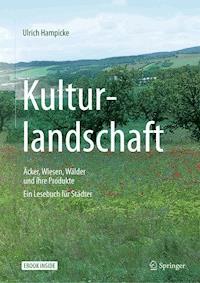 Kulturlandschaft - Äcker, Wiesen, Wälder und ihre Produkte - Ulrich Hampicke - E-Book