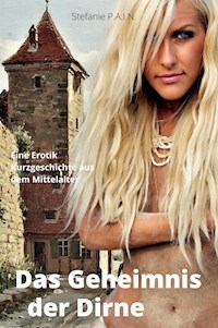Das Geheimnis der Dirne - P.A.I.N. Stefanie - E-Book
