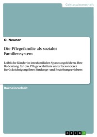 Die Pflegefamilie als soziales Familiensystem - O. Neuner - E-Book