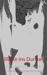Blicke ins Dunkel - Hagen Frickmann - E-Book