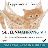 Seelennahrung 7: Texte zur Besinnung und Einkehr (Tepperwein and Friends) -  - Hörbuch