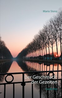 Der Geschmack der Gezeiten - Mario Stenz - E-Book