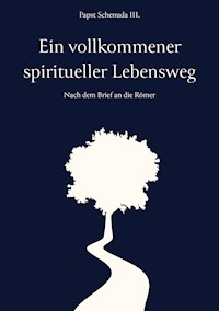 Ein vollkommener spiritueller Lebensweg - Papst Schenuda III. - E-Book