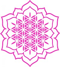 ICH ENTSCHEIDE MICH fÜR MICH - Emanuela Herz - E-Book