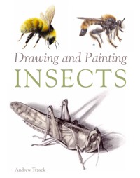 Drawing and Painting Insects - Andrew Tyzack - E-Book