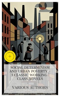 Social Determinism and Urban Poverty – 3 Classic Working-Class Novels - Stephen Crane - E-Book