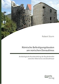 Römische Befestigungsbauten am norischen Donaulimes. Archäologische Kurzdarstellung der Baudenkmäler zwischen Oberranna und Zeiselmauer - Robert Sturm - E-Book