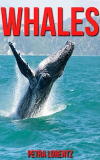Whales - Petra Lorentz - E-Book
