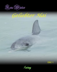 Geliebter Hai - Rene Winter - E-Book