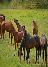 Brieko übernimmt die wilde Pferde - Doreen Hase - E-Book