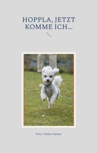 Hoppla, jetzt komme ich... - Fritz-Stefan Valtner - E-Book