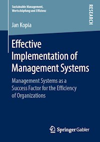 Effective Implementation of Management Systems - Jan Kopia - E-Book