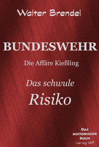 Bundeswehr: Das schwule Risiko - Walter Brendel - E-Book
