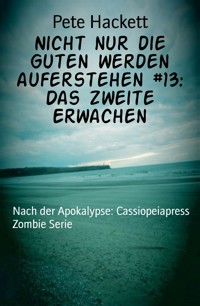 Nicht nur die Guten werden auferstehen #13: Das zweite Erwachen - Pete Hackett - E-Book