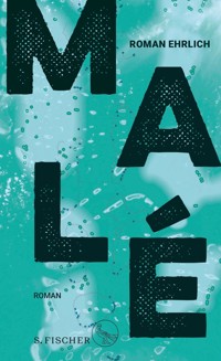 Malé - Roman Ehrlich - E-Book