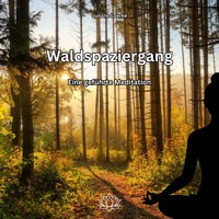 Waldspaziergang - Eine geführte Meditation - Juliane Loerke - Hörbuch