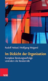 Im Dickicht der Organisation - Rudolf Heltzel - E-Book
